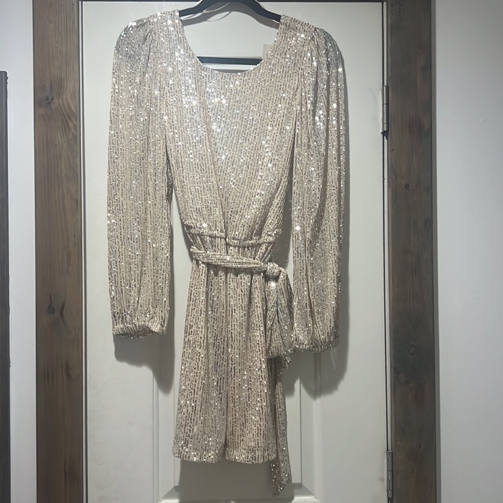 Francesca’s sequin dress - Picture 3 of 3